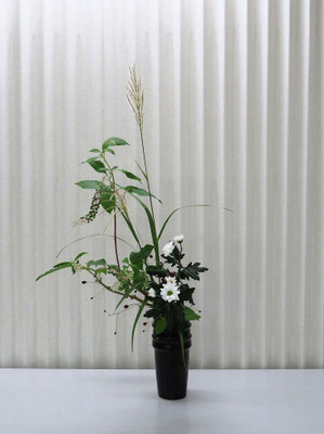 2025/8/26　＜洋種ヤマゴボウ　スプレー菊　吾亦紅　山薄＞　