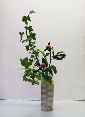 2025/5/14　＜フサスグリ　芍薬　玉シダ＞