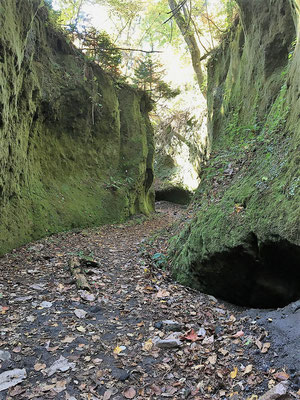 苔の回廊のような左右の岩壁は見事で、今は通行が禁じられている『苔の洞門』を思い出す。