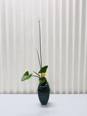 2025/8/5　＜河骨　太藺＞