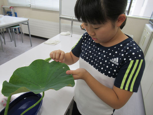 水滴がしずくのようになってコロコロと動きます。楽しいことを発見しましたね！