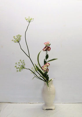 2025/8/6　＜茴香　トルコ桔梗　桔梗蘭＞