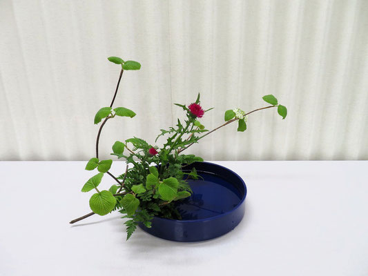2025/5/13　＜虫狩（ムシカリ）　薊（アザミ）　レザーファン＞　写景盛花のお稽古です