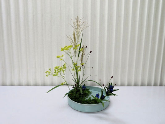 2025/8/26　＜薄　女郎花　竜胆　吾亦紅　日陰蔓（ヒカゲノカズラ）＞　秋の多種挿し