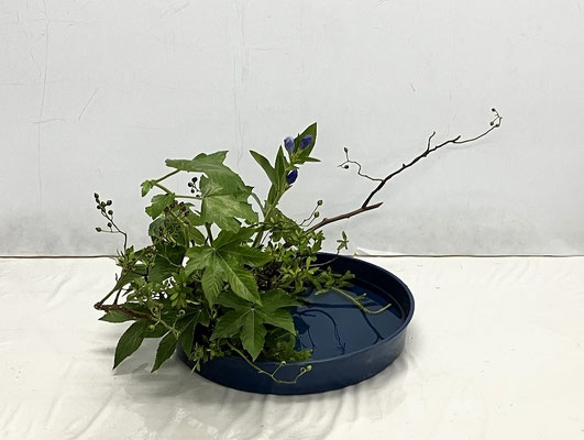 2025/8/20　＜野茨　木苺　竜胆　錦紅花ツツジ　ヒカゲノカズラ＞