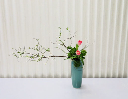 2026/1/13 <雪柳 菜の花 チューリップ>