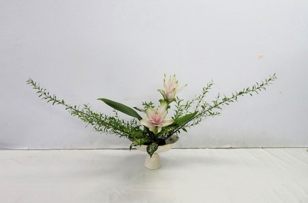 2025/8/6　＜雪柳　クルクマジンジャー　ゴッドセフィアナ＞