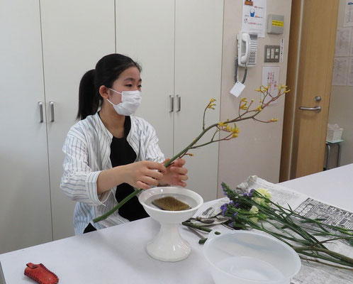 じっと花と向き合う