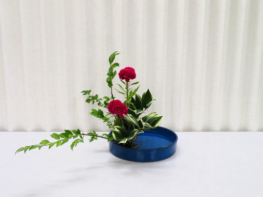 2025/7/15　＜真弓（マユミ）　鶏頭　鳴子百合（ナルコユリ）＞