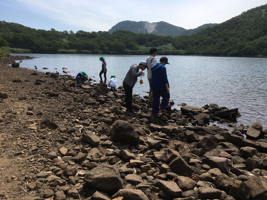 二ホンザリガニや山椒魚が生息している大沼。静かなたたずまいは休憩敵地。