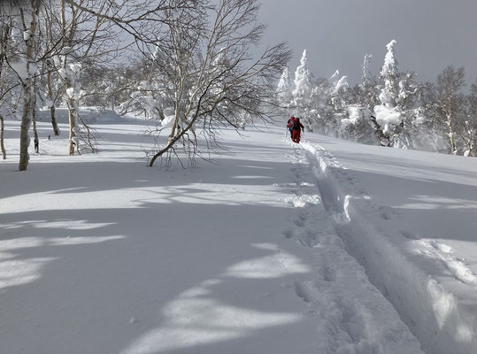 2023/2/16　札幌国際スキー場のある山は朝里岳です。山スキーをつけて、登りました。降雪が続いていたため膝上までのラッセルを強いられました。