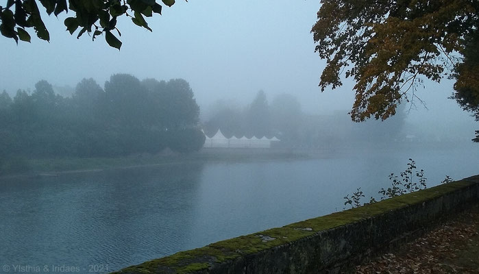 Matin brumeux sur la Moselle  /  Misty morning on the Moselle