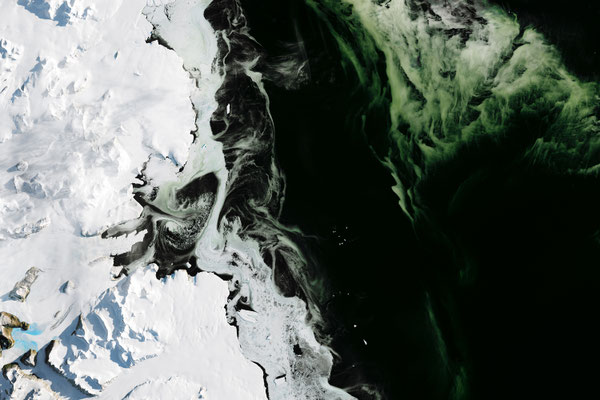 Efflorescence tardive de phytoplanctons au milieu de la fonte des glaces antarctiques. NASA Earth Observatory, 5 Mars 2017.