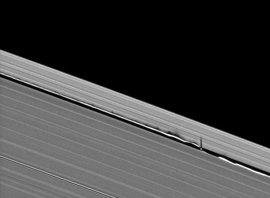 Daphnis et les ombres de ses vagues projetées vers l'extérieur de l'anneau A de Saturne. 11 Juin 2009. Crédit NASA / JPL.