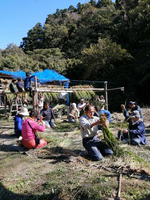 １０月２５日、上山口寺前谷戸復元プロジェクト