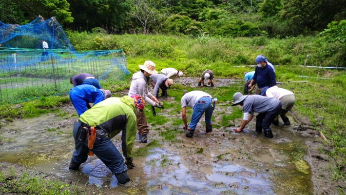 ０５月２２日　上山口寺前谷戸復元プロジェクト