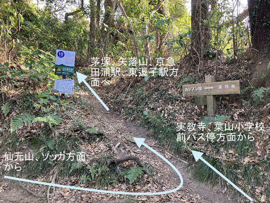 葉１０分岐、実教寺方面から見た景色。（２５年２月１日撮影）