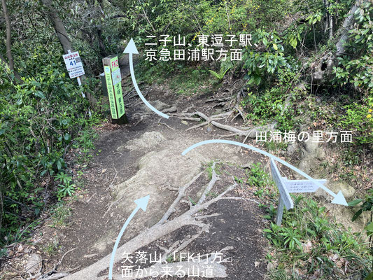 矢落山方面からFK２方面を見た景色（２５年４月７日撮影）