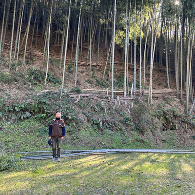 １月１１日　大沢谷竹林整備プロジェクト