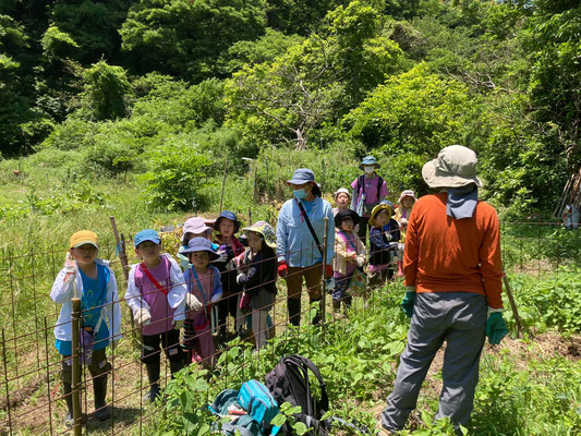 ０６月０２日　農園管理プロジェクト