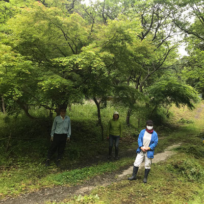 ５月７日、イノシシ被害対策プロジェクト＋大沢谷広場プロジェクト