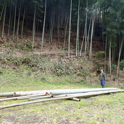 ０３月２４日　大沢谷竹林整備プロジェクト