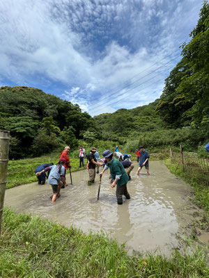 ５月２５日　寺前谷戸復元プロジェクト