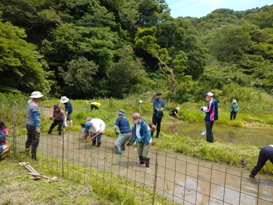 ５月２６日　上山口寺前谷戸復元プロジェクト
