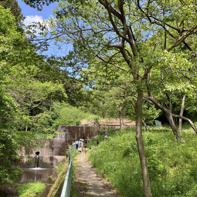 ５月１日　青空自主保育「つくしとたね」