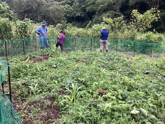 ０７月０６日　農園管理プロジェクト