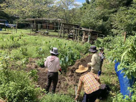 ０９月１０日　農園管理プロジェクト