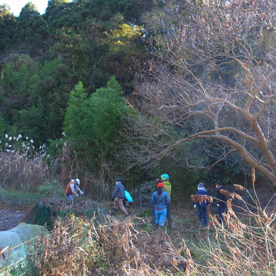 １２月２０日、上山口寺前谷戸復元プロジェクト