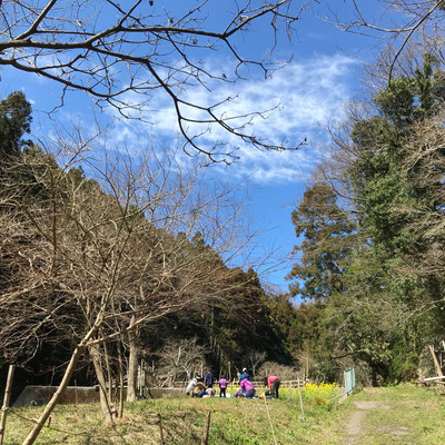 ３月７１５、生物保全・調査プロジェクト