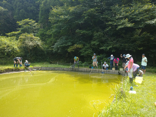 ７月２８日　上山口寺前谷戸復元プロジェクト