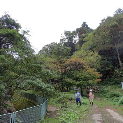 １０月２６日　大沢谷広場プロジェクト
