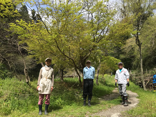 ４月４日、イノシシ被害対策プロジェクト＋大沢谷広場プロジェクト