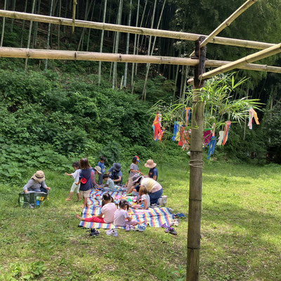 ６月２７日　青空自主保育「つくしとたね」