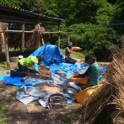 ６月２６日、農園管理プロジェクト