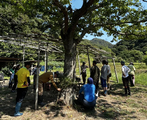 ８月２４日　寺前谷戸復元プロジェクト
