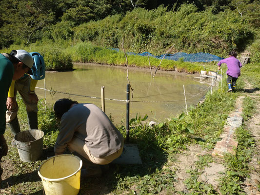 ０７月２３日　上山口寺前谷戸復元プロジェクト