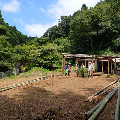 ８月３日　大沢谷竹林整備プロジェクト