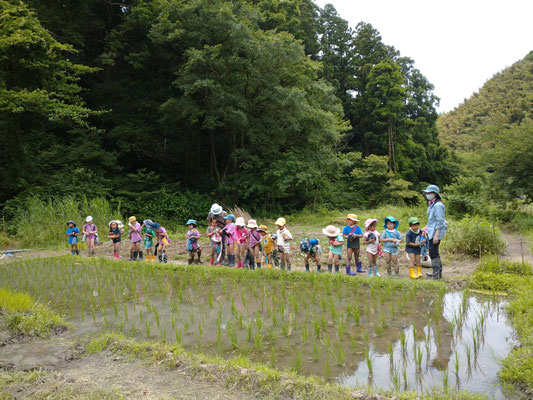 ０６月１０日　上山口寺前谷戸復元プロジェクト