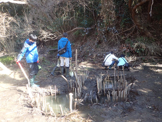 ２月１日、生物保全・調査プロジェクト