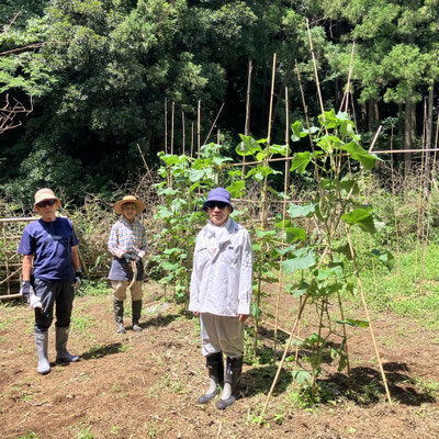 ７月１９日　大沢谷広場プロジェクト