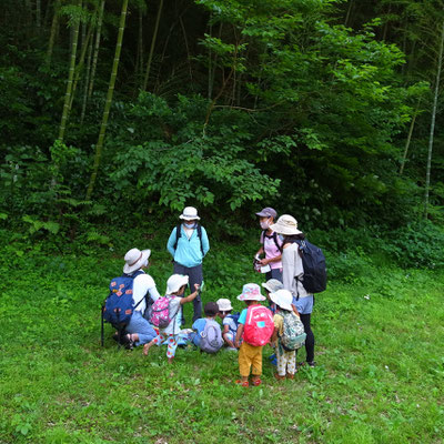 ６月１８日、大沢谷広場プロジェクト（青空共同保育つくしとたね）