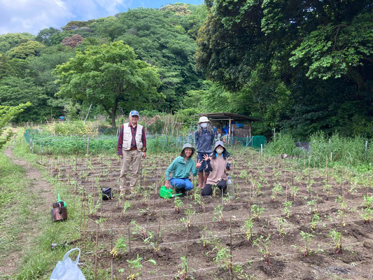 ０５月１８日　農園管理プロジェクト