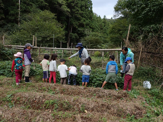 １０月２４日　青空共同保育「つくしとたね」連携プロジェクト