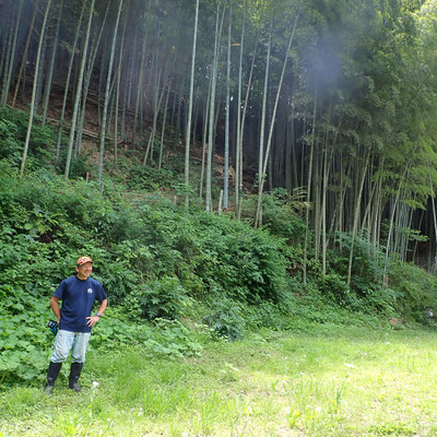 ６月７日　大沢谷竹林整備プロジェクト