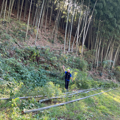 １２月０９日　大沢谷竹林整備プロジェクト