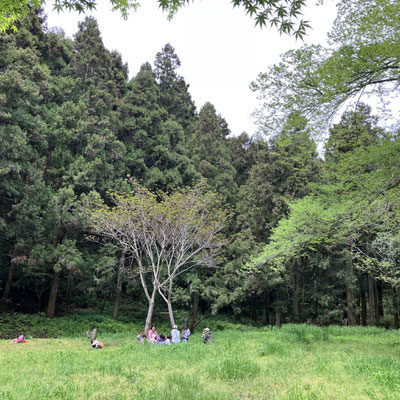 ４月２５日　青空自主保育「つくしとたね」